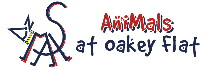 Animals at Oakey Flat